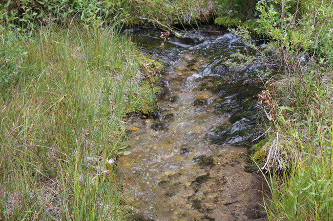 CORKY GOLD Placer Mining Claim, Trout Creek, Beaverhead County, Montana