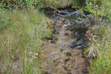 CORKY GOLD Placer Mining Claim, Trout Creek, Beaverhead County, Montana