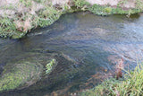 ATHENEA GOLD Placer Mining Claim, Taylor Creek, Beaverhead County, Montana