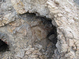 LEPRECHAUN GOLD MINE, Lode Mining Claim, Fallon, Churchill County, Nevada
