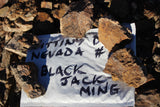 BLACK JACK MINE Lode Mining Claim, Fitting District, Mineral County, Nevada