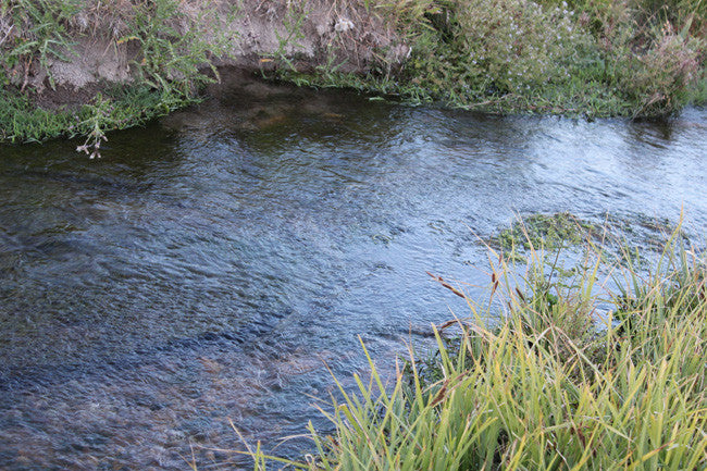 ATHENEA GOLD Placer Mining Claim, Taylor Creek, Beaverhead County, Montana