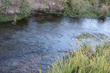 ATHENEA GOLD Placer Mining Claim, Taylor Creek, Beaverhead County, Montana