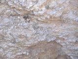 CHAPO MINE Lode Mining Claim, Apache No. 2, Hidalgo County, New Mexico