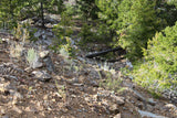 LOST FRACTION MINE Lode Mining Claim, Elkhorn District, Beaverhead County, Montana