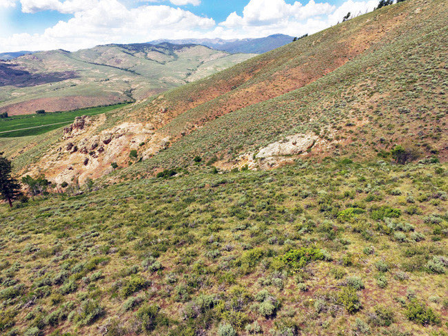 BROWN DERBY 11, Lode Mining Claim, Quartz Creek Pegmatite, Gunnison County, Colorado