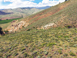 BROWN DERBY 11, Lode Mining Claim, Quartz Creek Pegmatite, Gunnison County, Colorado