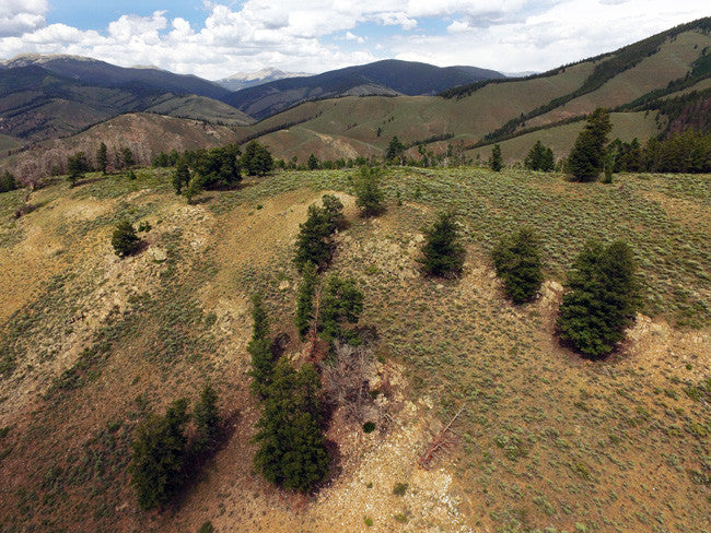 BROWN DERBY 11, Lode Mining Claim, Quartz Creek Pegmatite, Gunnison County, Colorado