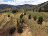 BROWN DERBY 11, Lode Mining Claim, Quartz Creek Pegmatite, Gunnison County, Colorado