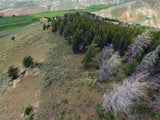 BROWN DERBY 11, Lode Mining Claim, Quartz Creek Pegmatite, Gunnison County, Colorado