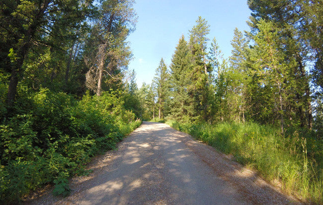 JELM GOLD, Placer Mining Claim, Falls River, Fremont County, Idaho
