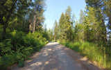 JELM GOLD, Placer Mining Claim, Falls River, Fremont County, Idaho