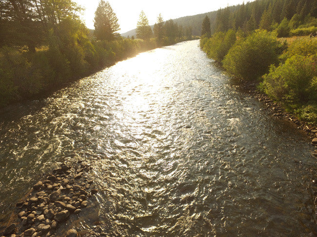 JELM GOLD, Placer Mining Claim, Falls River, Fremont County, Idaho