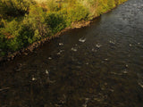 JELM GOLD, Placer Mining Claim, Falls River, Fremont County, Idaho