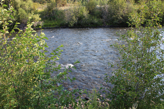 JELM GOLD, Placer Mining Claim, Falls River, Fremont County, Idaho
