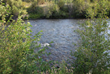 JELM GOLD, Placer Mining Claim, Falls River, Fremont County, Idaho