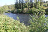 JELM GOLD, Placer Mining Claim, Falls River, Fremont County, Idaho