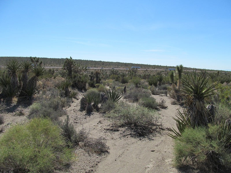 Mining Claim in Ivanpah CA, EXPOSED EXTENSION