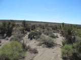 Mining Claim in Ivanpah CA, EXPOSED EXTENSION