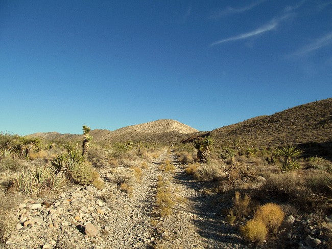 BEAR WALLOW Lode Mining Claim, Ivanpah, San Bernardino County, California