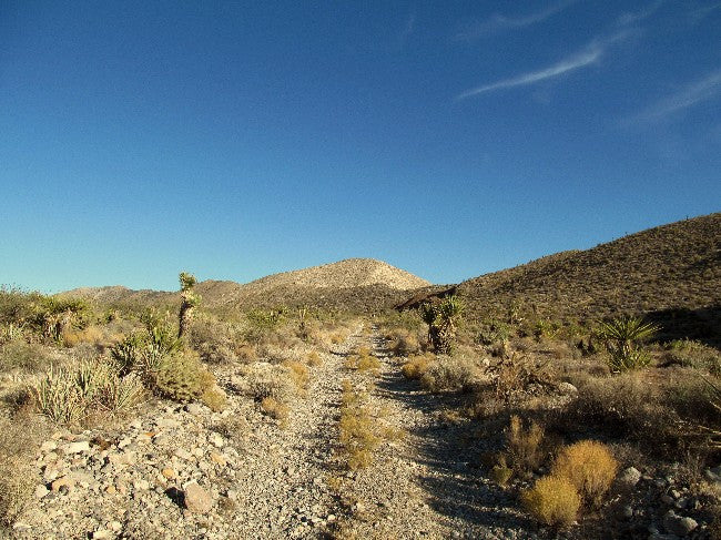 BEAR WALLOW Lode Mining Claim, Ivanpah, San Bernardino County, California