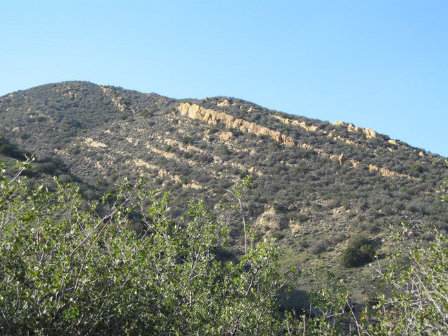 ANDY MINE California Benitoite Mining Claim