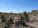 Mining Claim in Ivanpah CA, EXPOSED EXTENSION
