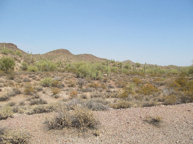 CARUSO Lode Mining Claim, Wickenburg District, Maricopa County, Arizona