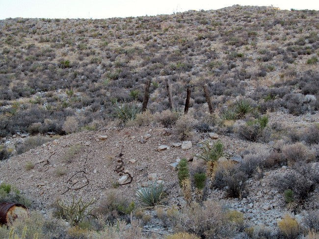 APEX Lode Mining Claim, Ivanpah, San Bernardino County, California
