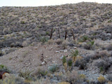 APEX Lode Mining Claim, Ivanpah, San Bernardino County, California