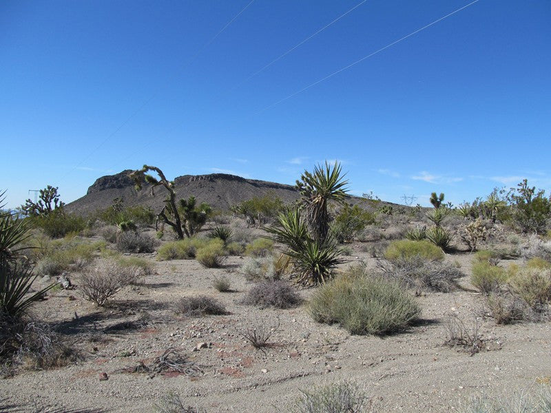 Mining Claim in Ivanpah CA, EXPOSED EXTENSION
