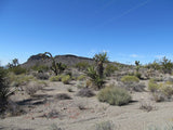 Mining Claim in Ivanpah CA, EXPOSED EXTENSION
