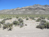 DELTA MINE, Lode Mining Claim, Fallon, Churchill County, Nevada