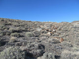 CROWN POINT Lode Mining Claim, Tonopah, Nye County, Nevada