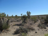 Mining Claim in Ivanpah CA, EXPOSED EXTENSION