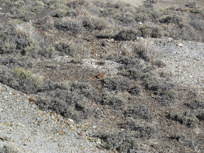 CROWN POINT Lode Mining Claim, Tonopah, Nye County, Nevada