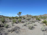 Mining Claim in Ivanpah CA, EXPOSED EXTENSION
