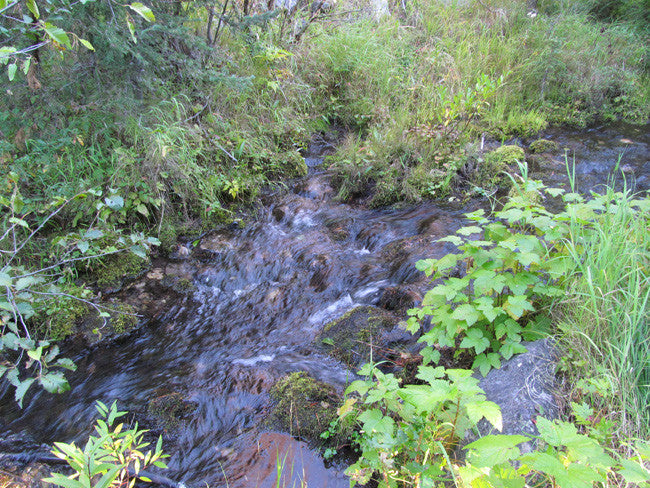 ALAXANDRITE SAPPHIRE Placer Mining Claim, Beaver Creek, Granite County, Montana