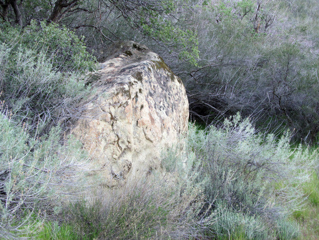 DAFFYS Placer Mining Claim, Idria Mining District, San Benito County, California