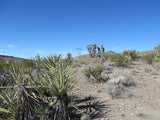 Mining Claim in Ivanpah CA, EXPOSED EXTENSION