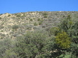 BENN BENITOITE, Placer Mining Claim, Idria Mining District, San Benito County, California