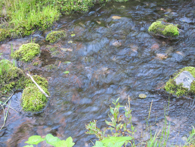 ALAXANDRITE SAPPHIRE Placer Mining Claim, Beaver Creek, Granite County, Montana