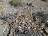 Mining Claim in Ivanpah CA, EXPOSED EXTENSION
