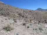 SILVER STAGE MINE, Lode Mining Claim, Fallon District, Churchill County, Nevada