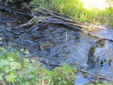 ALAXANDRITE SAPPHIRE Placer Mining Claim, Beaver Creek, Granite County, Montana