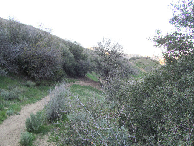 DAFFYS Placer Mining Claim, Idria Mining District, San Benito County, California