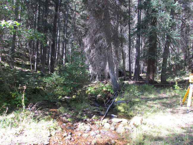 KASHMIR SAPPHIRE Placer Mining Claim, Beaver Creek, Granite County, Montana