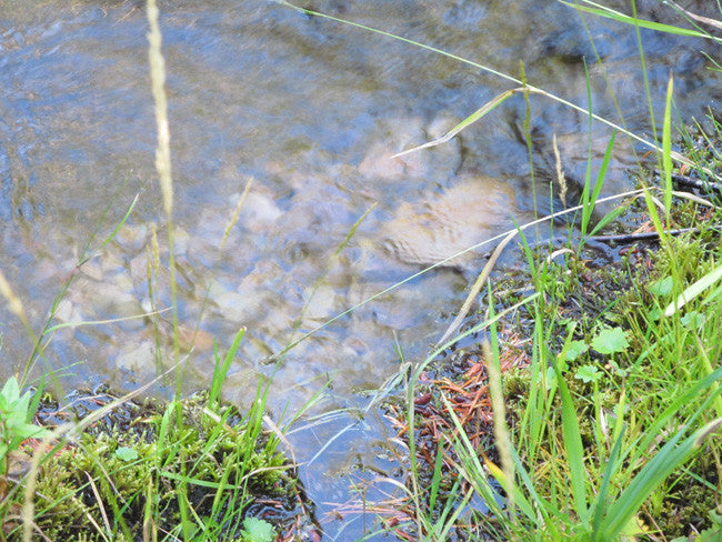 ALAXANDRITE SAPPHIRE Placer Mining Claim, Beaver Creek, Granite County, Montana