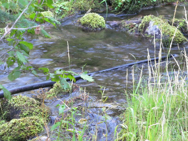 ALAXANDRITE SAPPHIRE Placer Mining Claim, Beaver Creek, Granite County, Montana