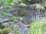 ALAXANDRITE SAPPHIRE Placer Mining Claim, Beaver Creek, Granite County, Montana